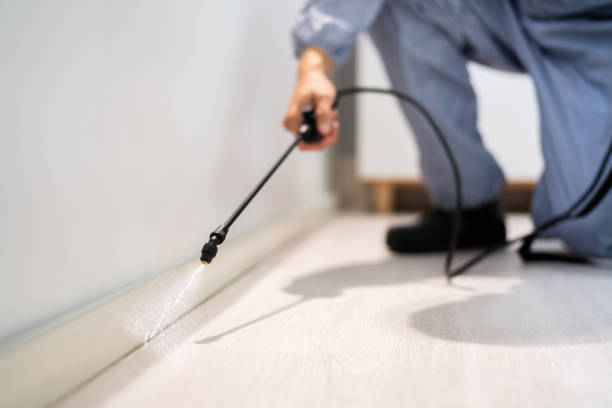 Rodent Entry Point Assessment in Santa Clara