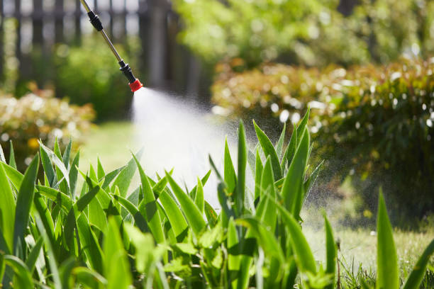 Tamper-Resistant Bait Stations for Rodents in Santa Clara