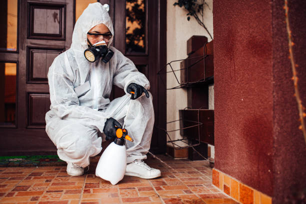 Attic and Crawl Space Rodent Treatment in Santa Clara