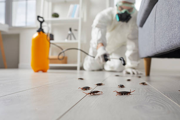 Commercial Rodent Management in Santa Clara